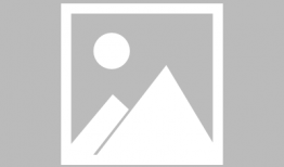 韩国一级毛片视频,背后真相与争议